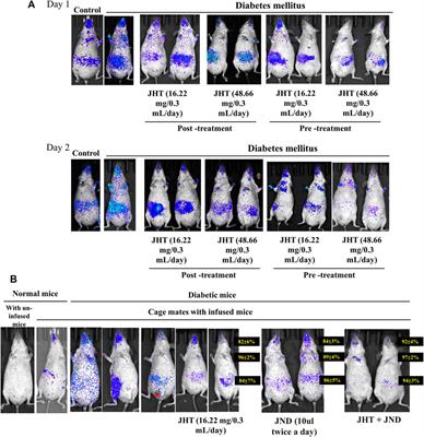 Combined effect of traditional Chinese herbal-based formulations Jing Si herbal tea and Jing Si nasal drop inhibits adhesion and transmission of SARS-CoV2 in diabetic SKH-1 mice